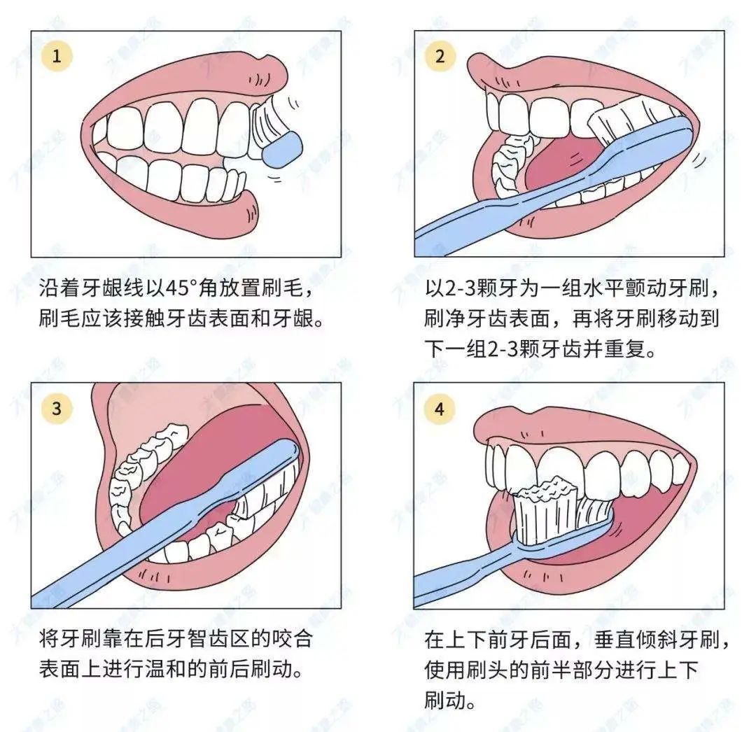 图片 8